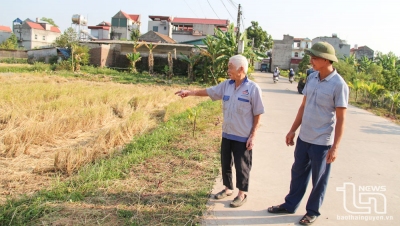 Hộ nghèo hiến đất làm giàu quê hương